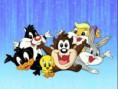 /album/fotogaleria/looney-tunes-node-jpg1/